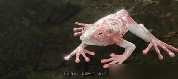 《柏德之門3》混沌蛙獎勵怎麽獲得？ 混沌蛙獎勵獲取攻略