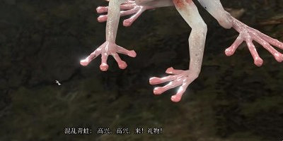 《柏德之門3》擊敗混沌青蛙有什麽獎勵？混沌青蛙掉落獎勵介紹