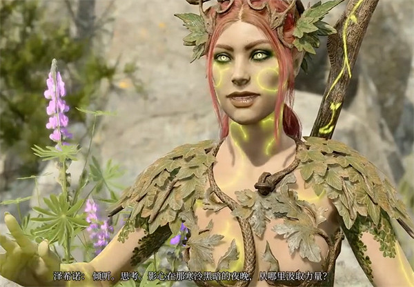 《柏德之門3》看之前對話的方法