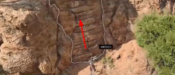 《柏德之門3》蜘蛛卵囊在哪獲得？ 蜘蛛卵囊獲取攻略