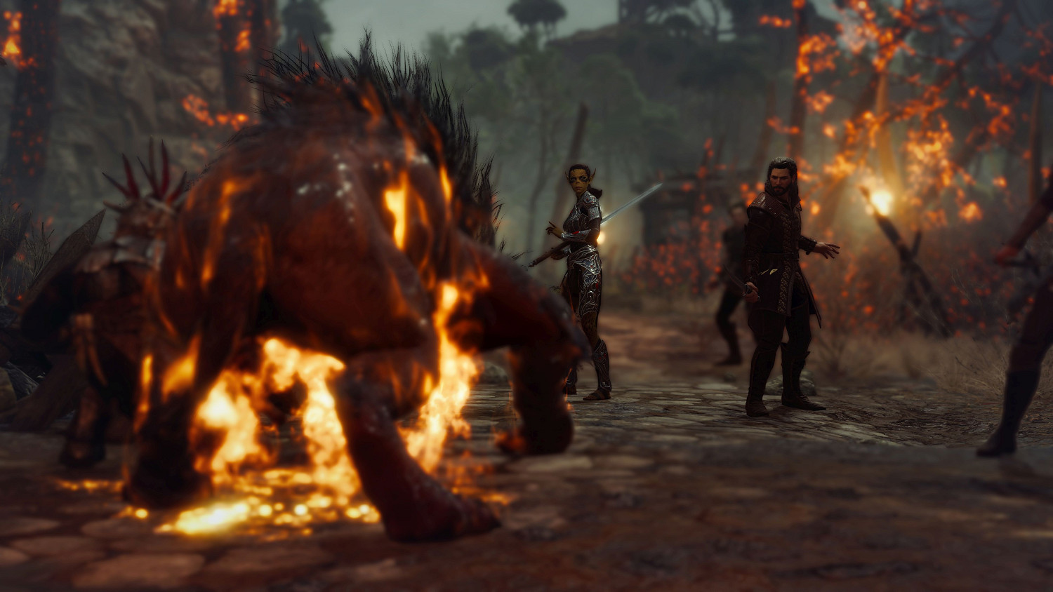 《柏德之門3》拳焰的介紹