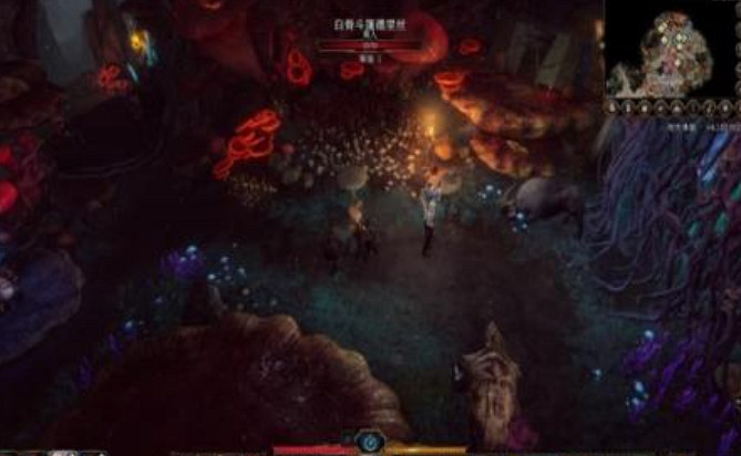 《柏德之門3》蘑菇獵人在哪？ 蘑菇獵人位置