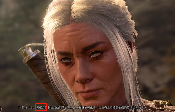 《柏德之門3》偷蛋任務攻略