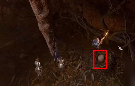 《柏德之門3》梟熊蛋作用 《柏德之門3》梟熊蛋作用