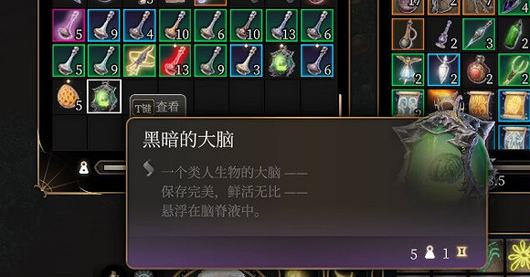 《柏德之門3》黑暗的大腦有什麽用? 黑暗的大腦作用介紹 《柏德之門3》黑暗的大腦有什麽用? 黑暗的大腦作用介紹