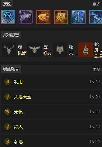 《暗黑破壞神4》德魯伊電炸流bd思路分享