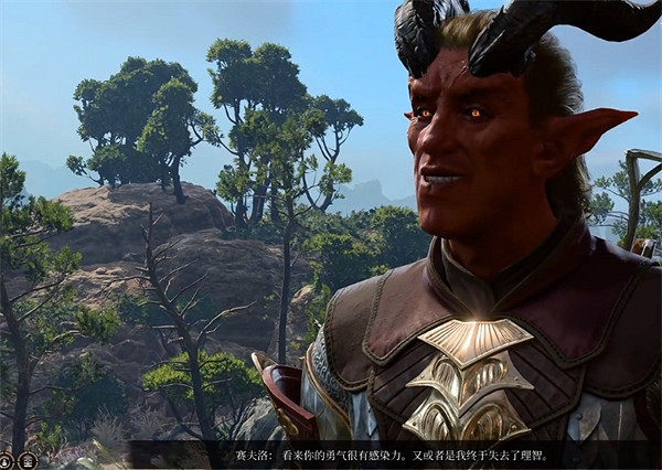 《柏德之門3》賽夫洛選擇推薦