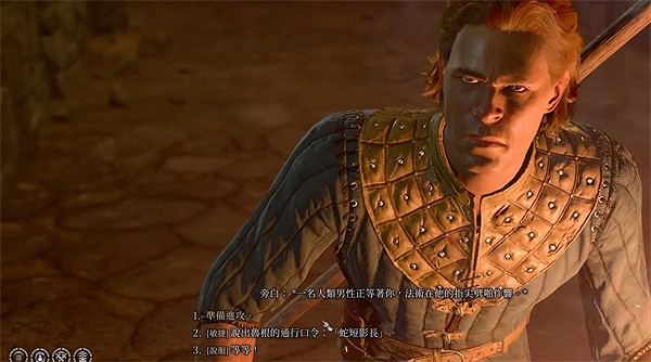 《柏德之門3》紮瑞斯位置