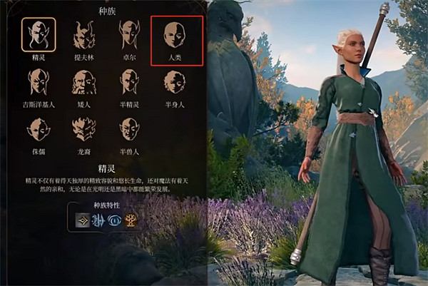 《柏德之門3》法師種族推薦 《柏德之門3》法師種族推薦