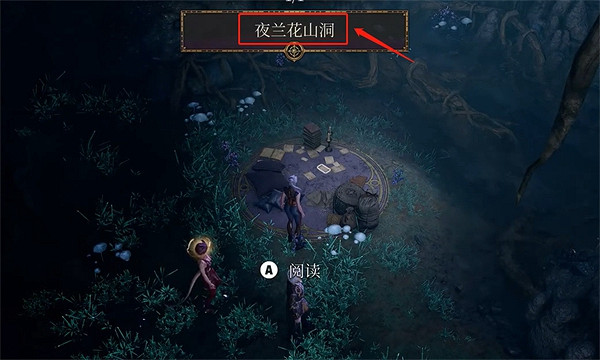 《柏德之門3》夜蘭花位置