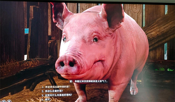 《柏德之門3》驚嚇的小豬用處