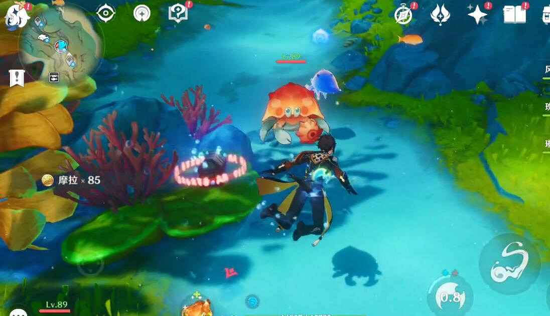 《原神》4.0博物通誌水國尋跡活動攻略 《原神》4.0博物通誌水國尋跡活動攻略