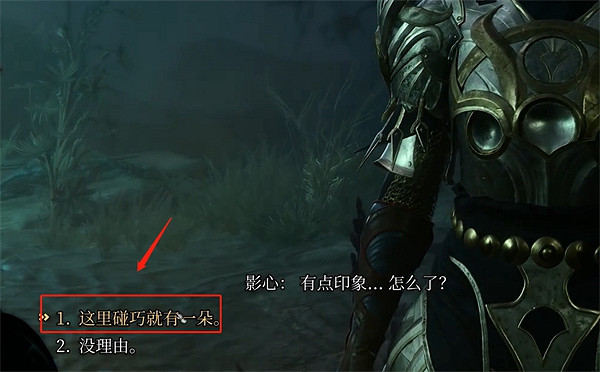 《柏德之門3》夜蘭花送出方法