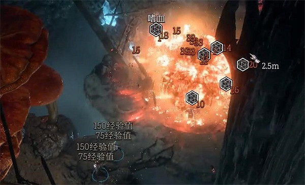 《柏德之門3》清除油脂方法