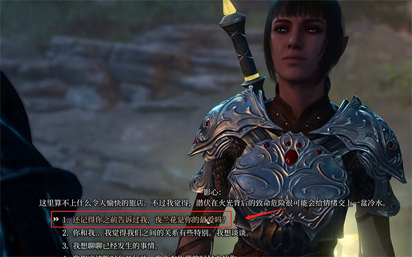 《柏德之門3》夜蘭花位置