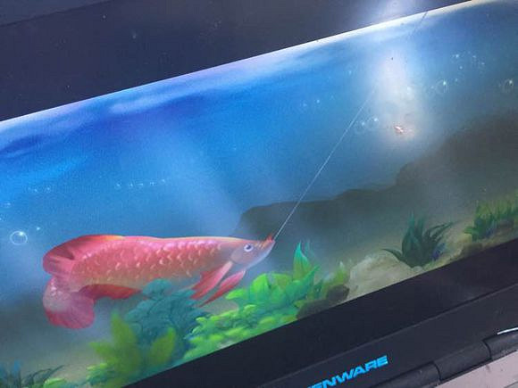 《俠客風雲傳》杜康村任務完全過關解析攻略