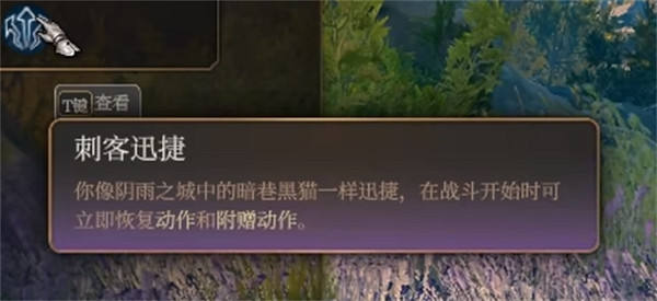 《柏德之門3》刺客子職業介紹