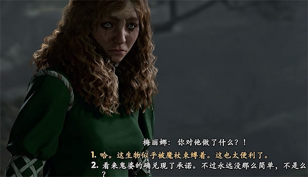 《柏德之門3》任務卡住解決方法 《柏德之門3》任務卡住解決方法