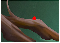 《俠客風雲傳》虹鯉位置 虹鯉在哪釣