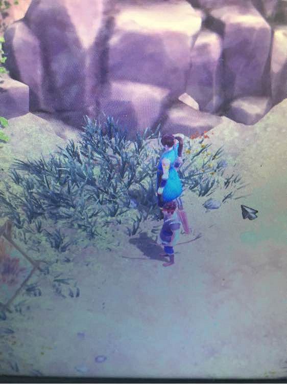 《俠客風雲傳》杜康村任務完全過關解析攻略