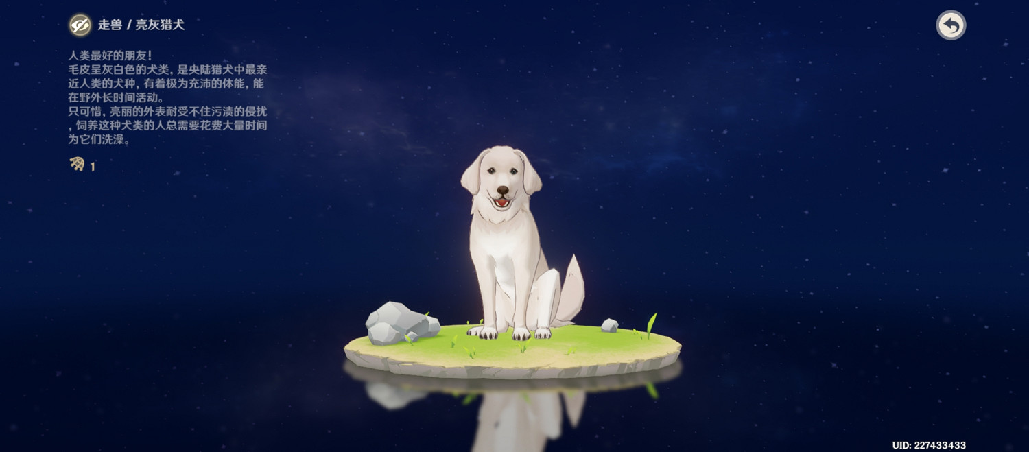 《原神》亮灰獵犬位置介紹