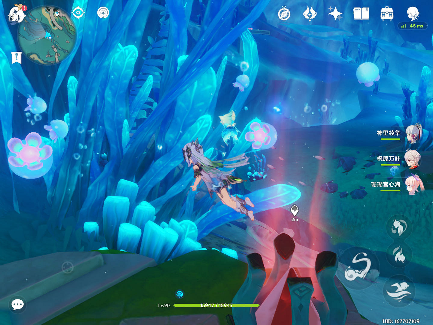 《原神》汐藻在哪收集？汐藻收集攻略