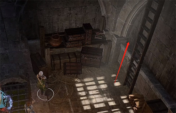 《柏德之門3》盾牌騎士藏身位置介紹 《柏德之門3》盾牌騎士藏身位置介紹