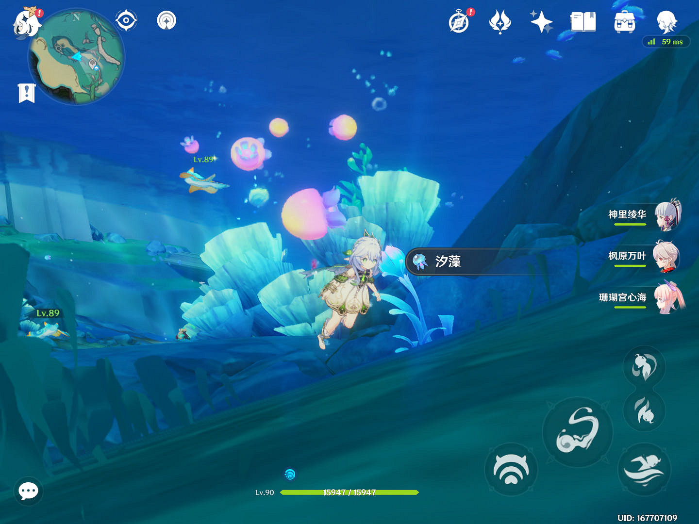 《原神》汐藻在哪收集？汐藻收集攻略