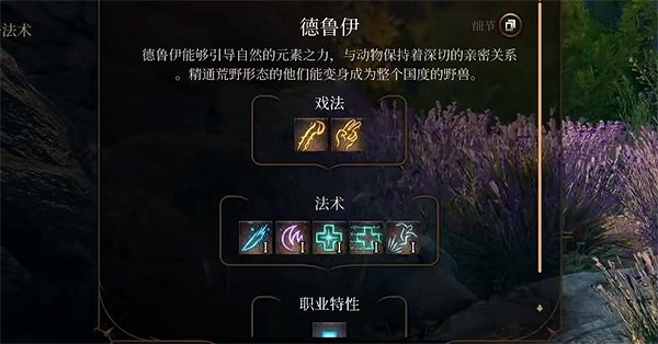 《柏德之門3》賈希拉職業介紹