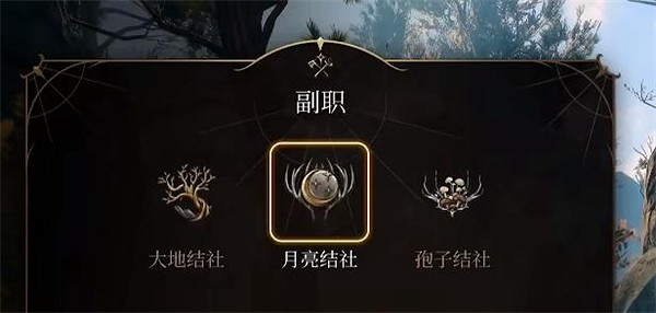 《柏德之門3》賈希拉職業介紹