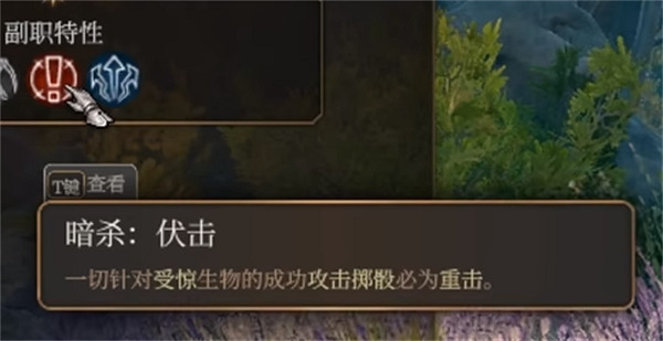 《柏德之門3》刺客子職業介紹