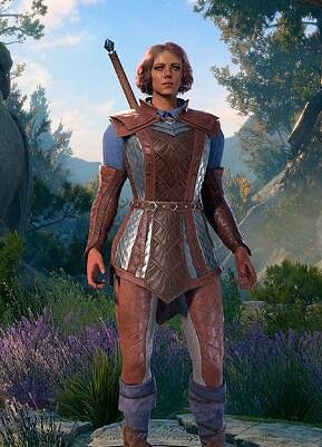 《柏德之門3》半精靈怎麽樣？各類型半精靈評價心得