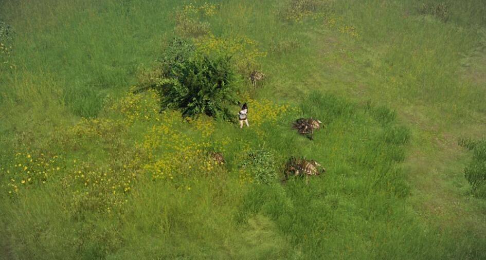 《命運方舟》藍風島刷蟲子位置點推薦 藍風島哪裡刷蟲子 《命運方舟》藍風島刷蟲子位置點推薦 藍風島哪裡刷蟲子