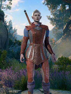 《柏德之門3》半精靈怎麽樣？各類型半精靈評價心得