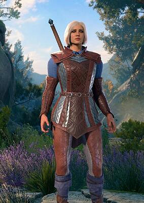 《柏德之門3》半精靈怎麽樣？各類型半精靈評價心得