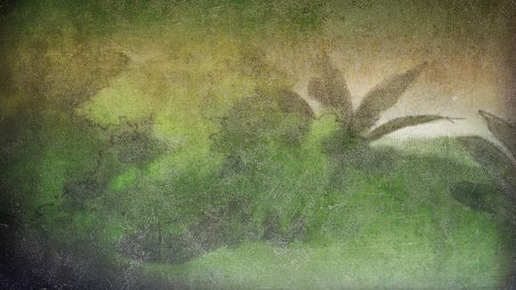 《俠客風雲傳》養成模式攻略妹子圖集一覽