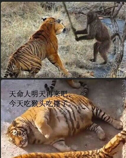 傳統藝能!《黑神話:悟空》Steam添加“戀愛模擬”標籤 傳統藝能!《黑神話:悟空》Steam添加“戀愛模擬”標籤