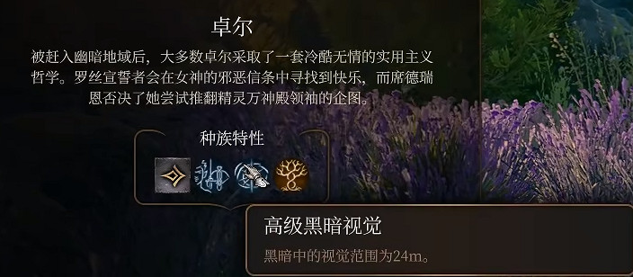 《柏德之門3》切換特性方法