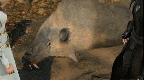 《柏德之門3》野豬位置