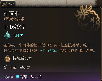 《柏德之門3》低環好用法術推薦 低環法術哪些好用? 《柏德之門3》低環好用法術推薦 低環法術哪些好用?