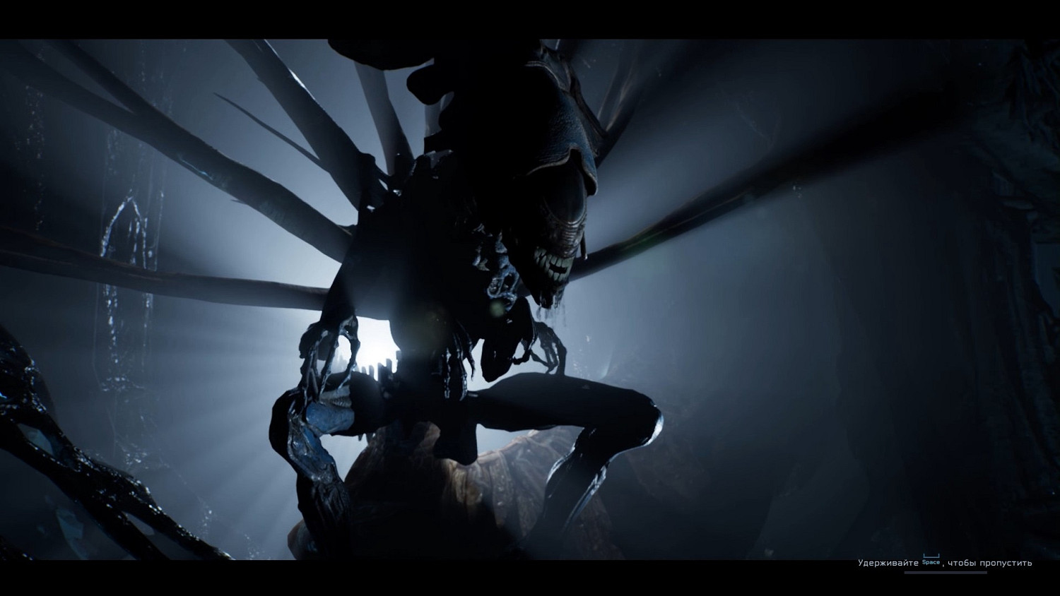 《異形墜入黑暗》實用戰鬥技巧心得 戰鬥有什麽技巧？