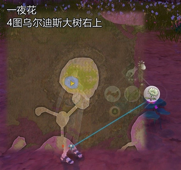 《萊莎的鍊金工房3》常用素材位置說明 素材怎麽收集? 《萊莎的鍊金工房3》常用素材位置說明 素材怎麽收集?