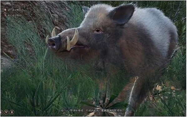 《柏德之門3》野豬跑了解決方法