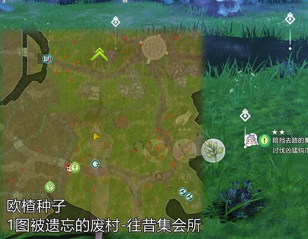 《萊莎的鍊金工房3》常用素材位置說明 素材怎麽收集? 《萊莎的鍊金工房3》常用素材位置說明 素材怎麽收集?