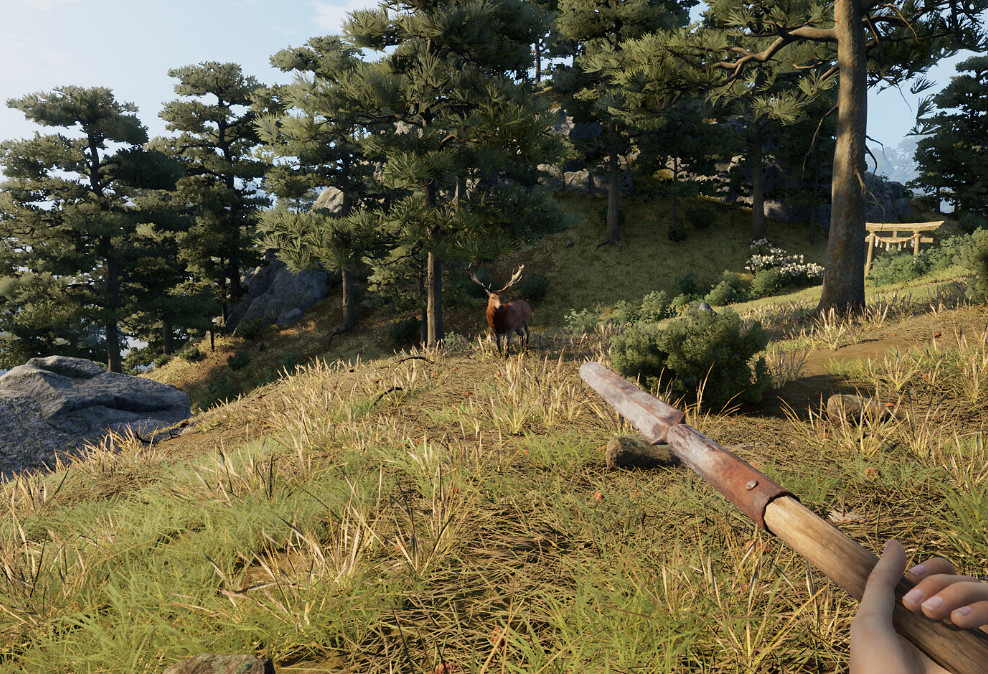 《戰國王朝》PS5能不能玩介紹