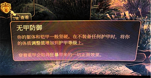 《柏德之門3》野蠻人特性介紹