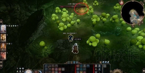 《柏德之門3》找到蘑菇獵人任務攻略 《柏德之門3》找到蘑菇獵人任務攻略