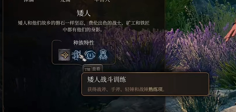 《柏德之門3》野蠻人種族推薦 《柏德之門3》野蠻人種族推薦