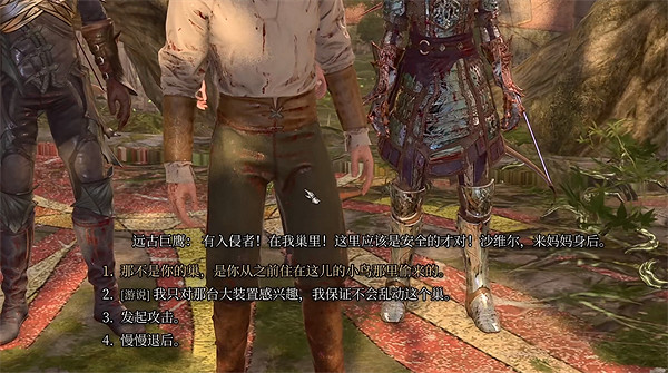 《柏德之門3》小鳥任務攻略