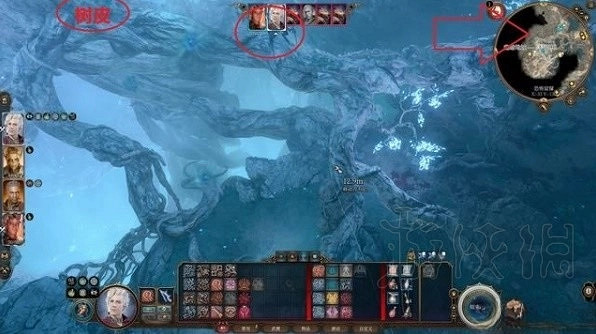 《柏德之門3》輕語樹皮獲取分享 《柏德之門3》輕語樹皮獲取分享